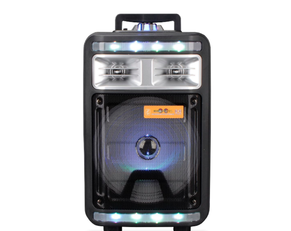 Ecco 8" Portable Bluetooth Speaker - MV88M1