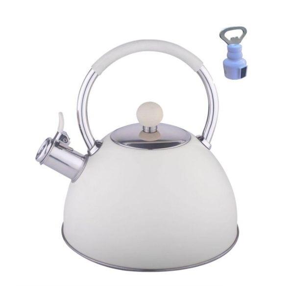 Gas Stove Top Whistling Kettle