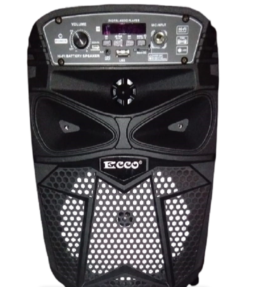 Ecco TWS Bluetooth LED Karaoke Speaker
