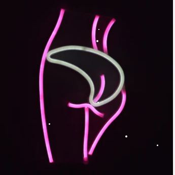 FA-A61 Lady’s Behind Silhouette Neon Sign… - Bundle of 2
