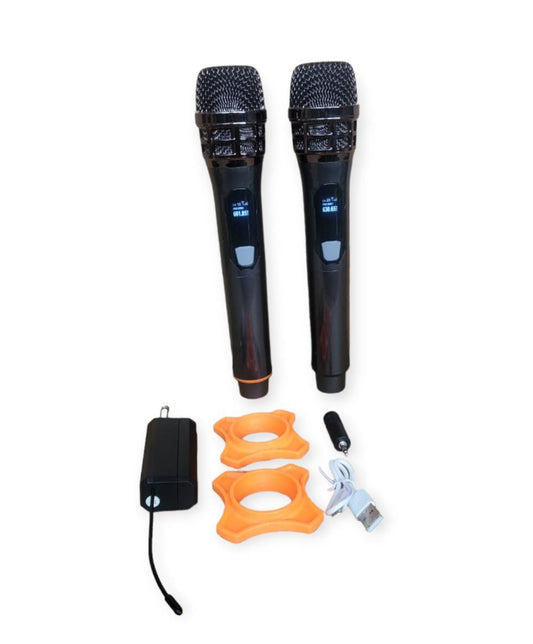 109 Professional Universal Dual Wireless Microp…