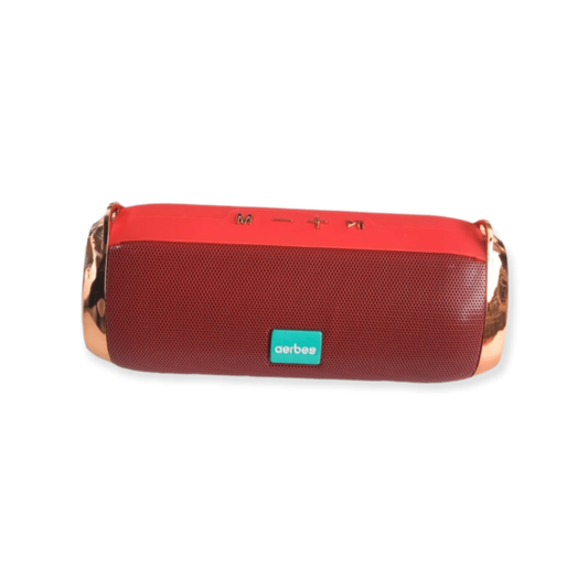 Aerbes AB-D424 Portable Bluetooth Speaker