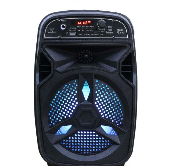 Ecco 8" RGB LED Karaoke Speaker - EC2337