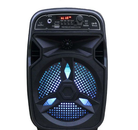 Ecco 8" RGB LED Karaoke Speaker - EC2337