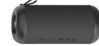 IPX5 Portable Dual TWS Speaker