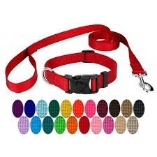 Splash Proof Dog Collar & Leash Set, Pistachio & Silver, Small x 2
