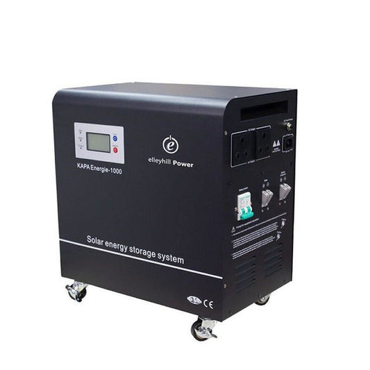 1000W Pure Sine-Wave UPS Inverter with 100ah Battery
