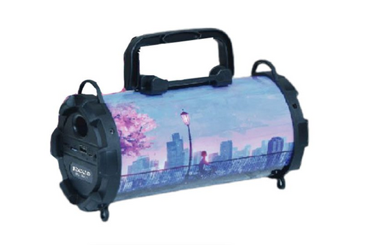 Ecco 3" 5W Portable FM Radio Speaker - EC3801 - City