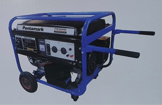 Pentamark PTM-6500 DC Generator