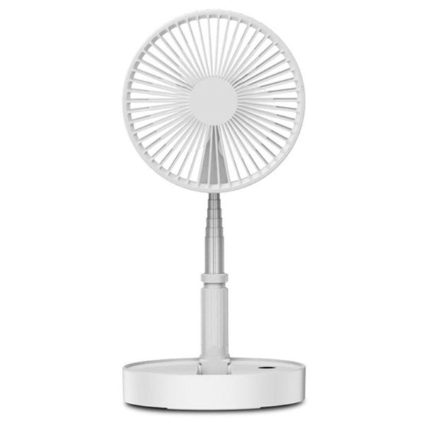 Folding Fan