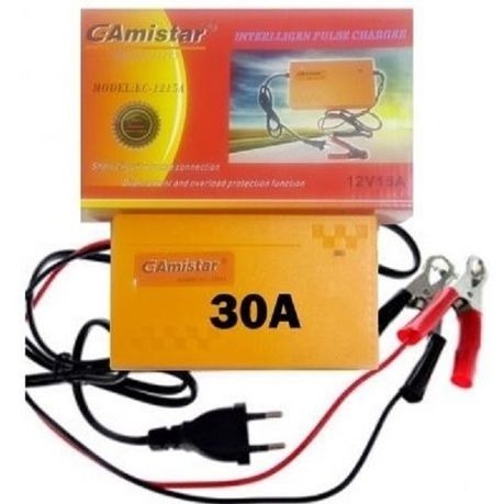 Gamistar 12V 30A Intelligent Pulse Battery Charger